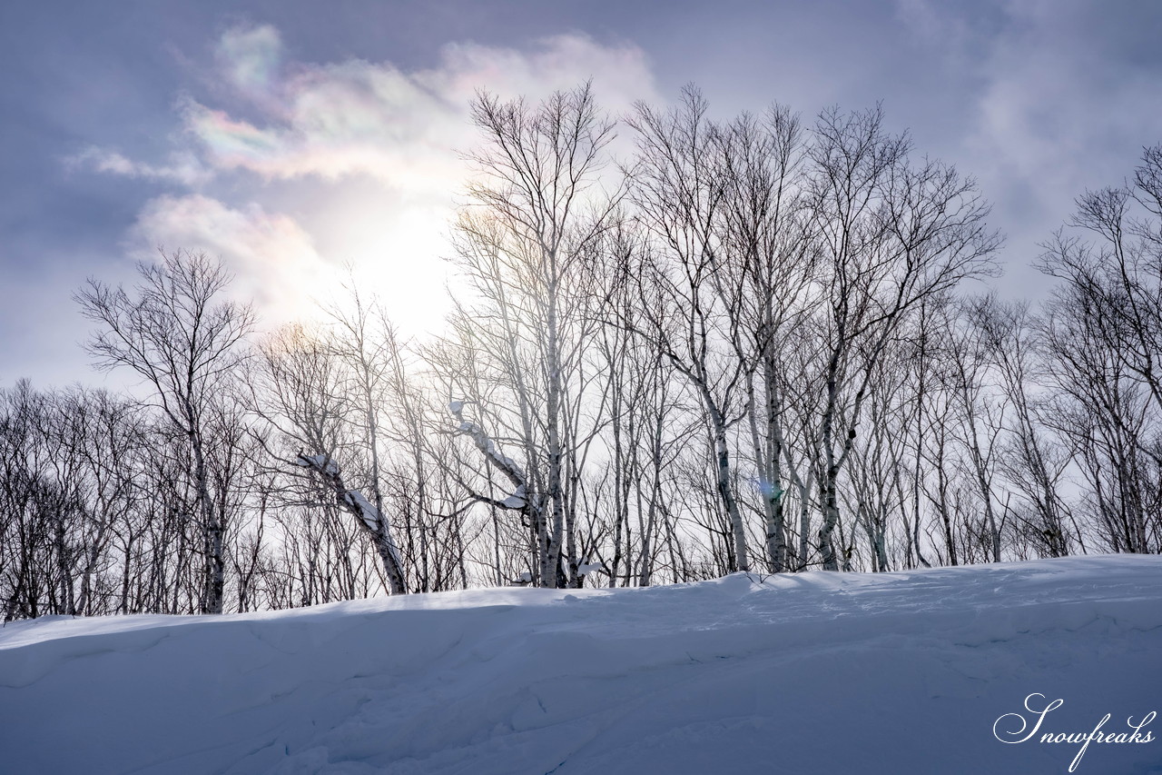 十勝サホロリゾート 快晴の空の下、極上の粉雪クルージングバーンを心ゆくまで味わう１日(*^^*)